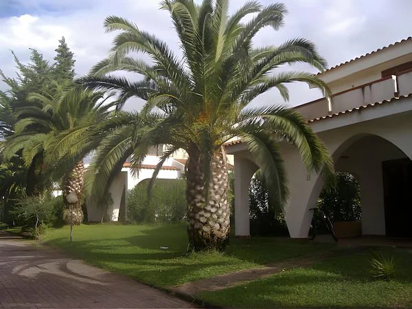 Affittacamere Villa Brazzano